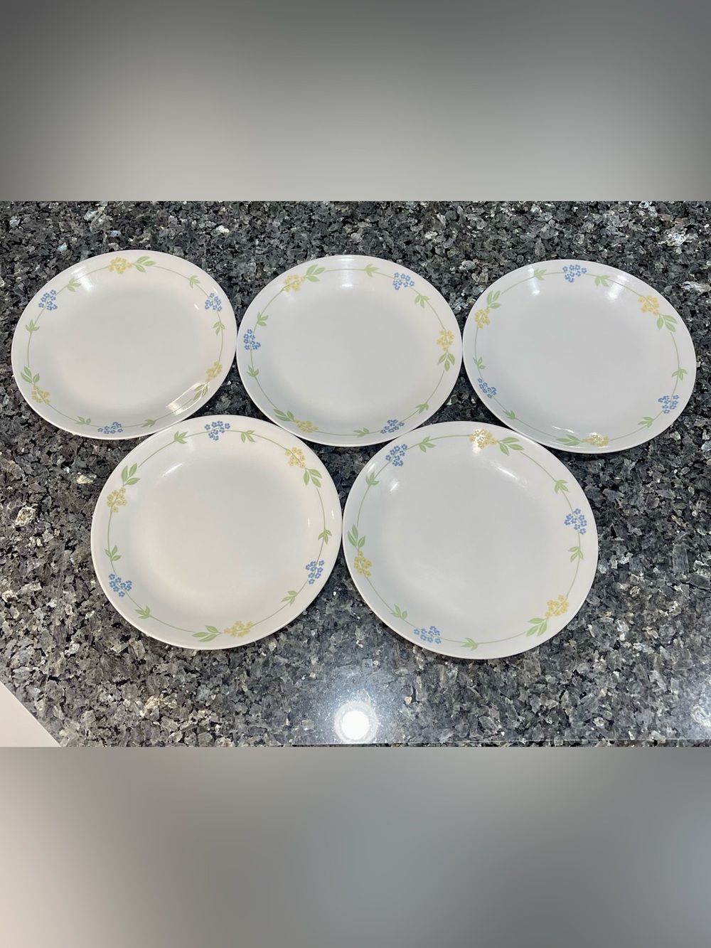 Corelle Secret Garden 10 1/4 in. Dinner Plates - Set of 5